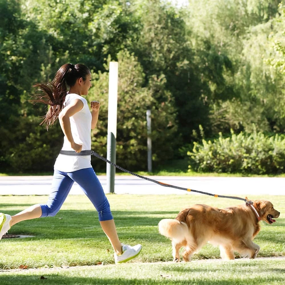 Adjustable Pet Harness Collar And Leash Set For Jogging