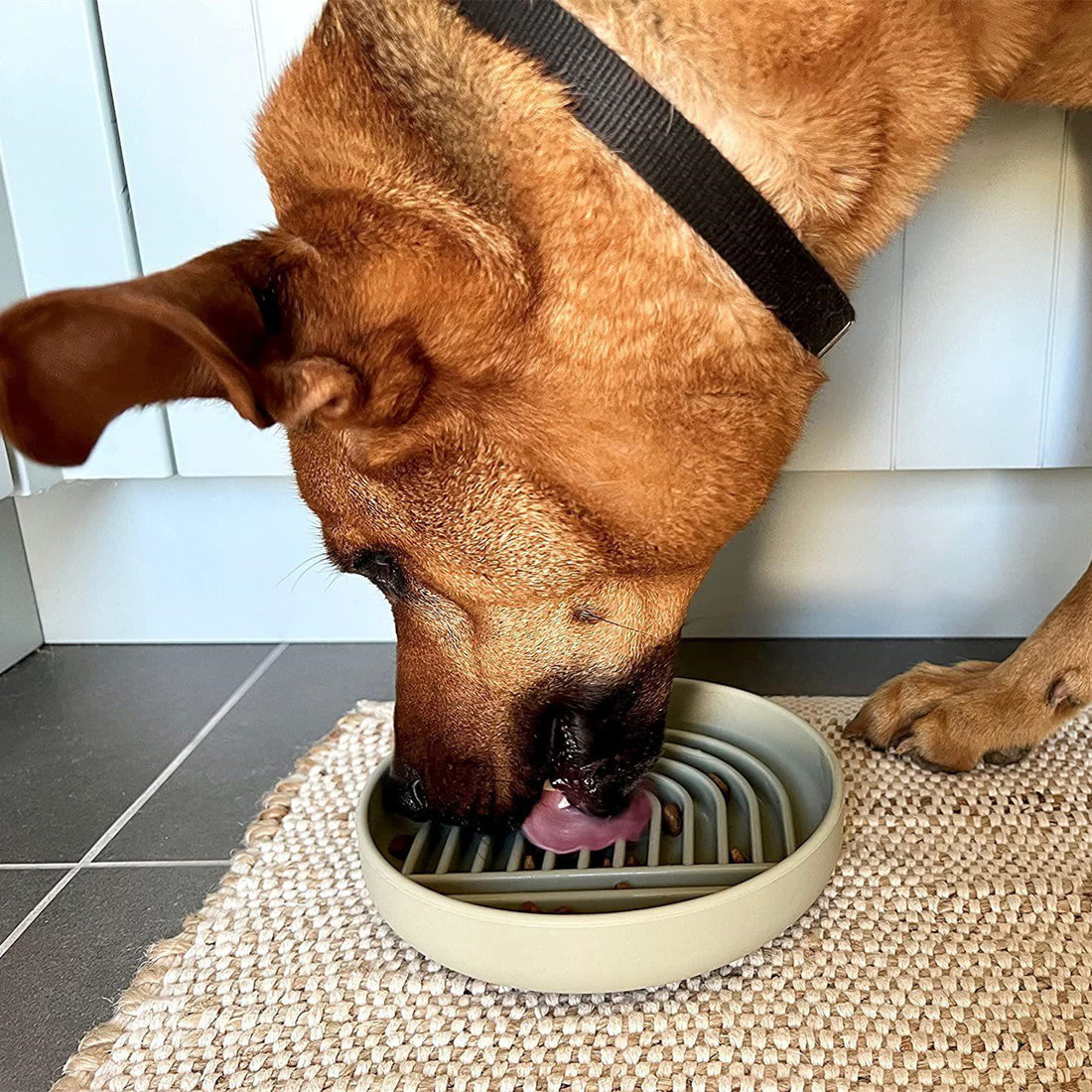 Simple Fashion Pet Slow Feeding Bowl For Healthy Eating