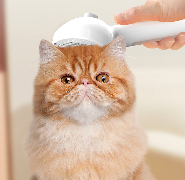 Self Cleaning Pet Grooming Brush With Mist Humidifier Feature