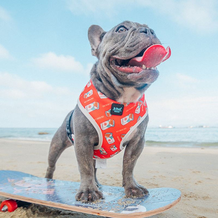 Pet Chest Strap Harness With Durable Leash For Walking