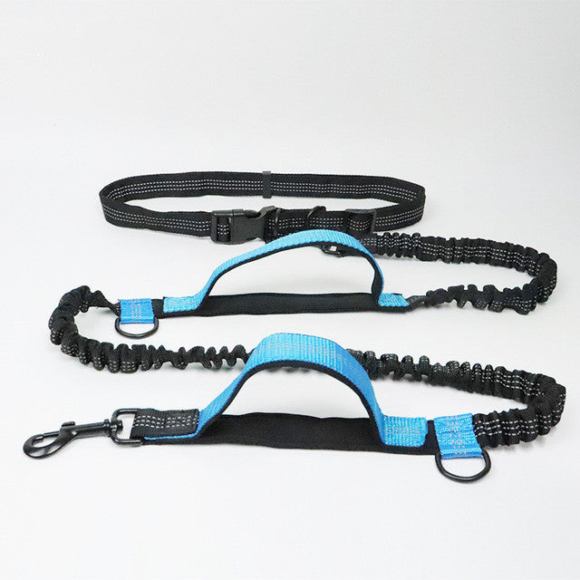 Adjustable Pet Harness Collar And Leash Set For Jogging