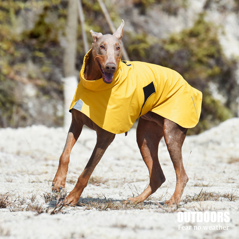 Waterproof Windproof Pet Shell Jacket Raincoat For Outdoor Use