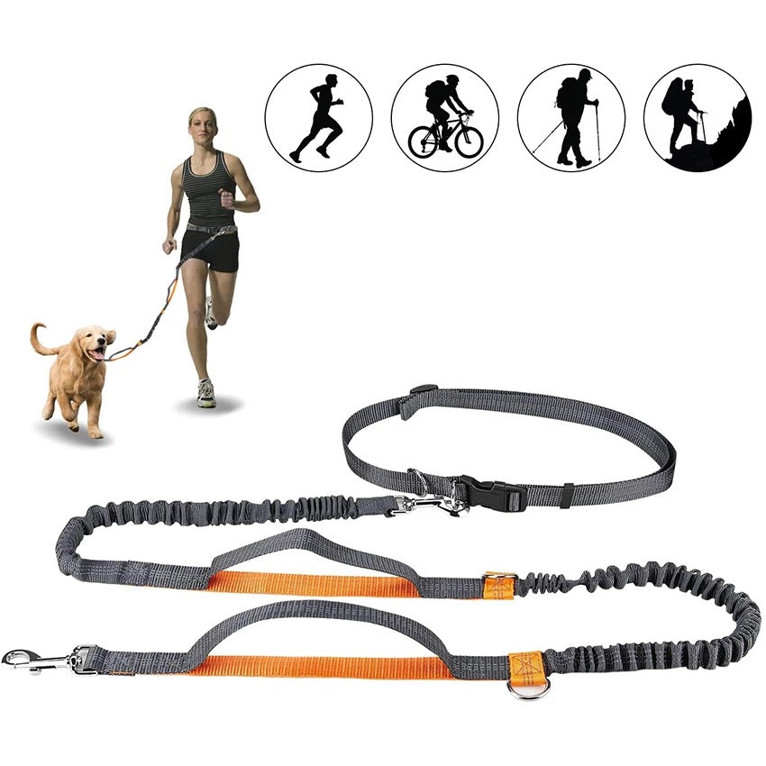 Adjustable Pet Harness Collar And Leash Set For Jogging