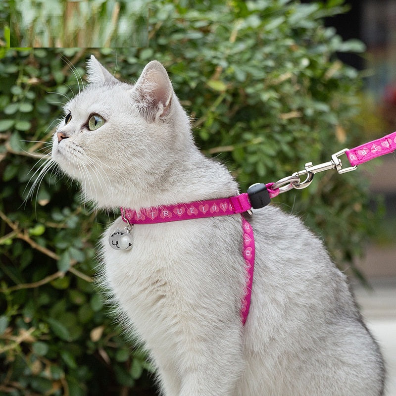 Pet Bell Chest Strap Harness Vest With Durable Leash Set