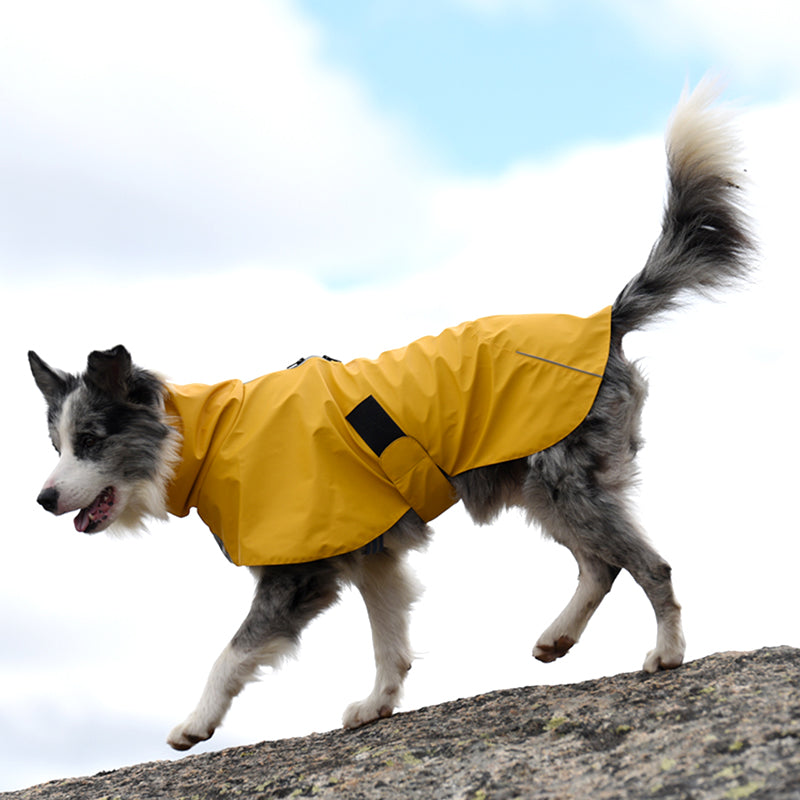 Waterproof Windproof Pet Shell Jacket Raincoat For Outdoor Use