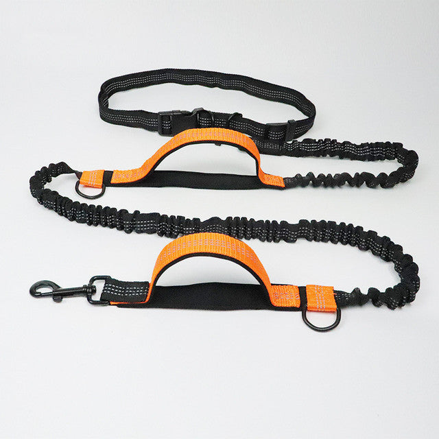 Adjustable Pet Harness Collar And Leash Set For Jogging